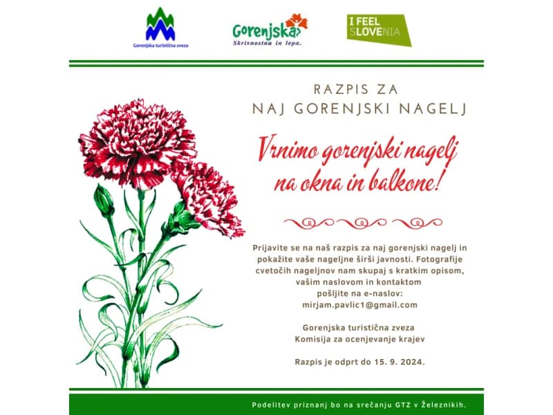 Natečaj za najlepši gorenjski nagelj in naj vrt Gorenjske