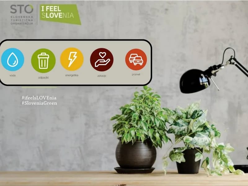 A green and healthy office