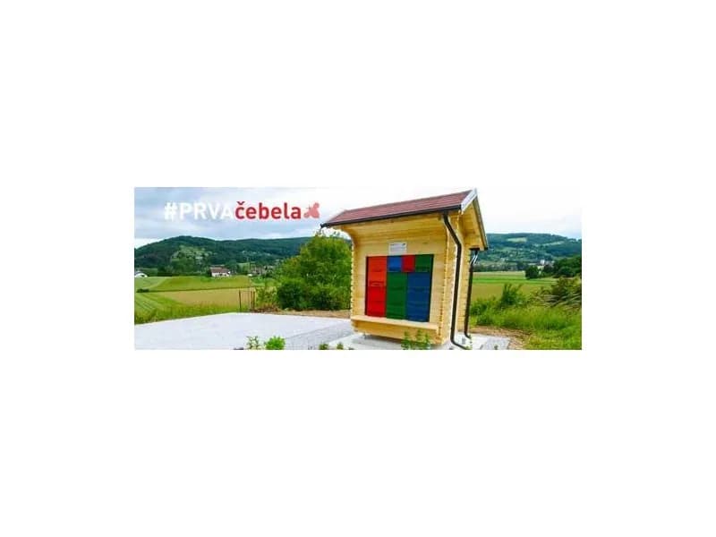 USPELO NAM JE - smo prejemniki učnega čebelnjaka!