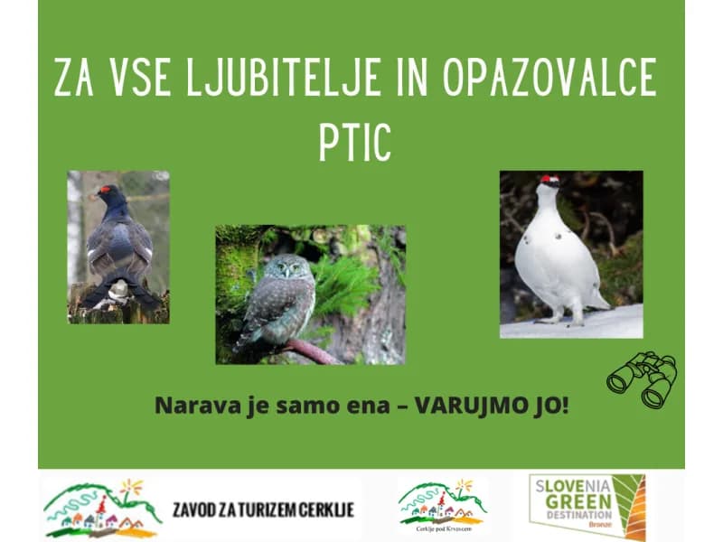 Guidelines for birdwatching