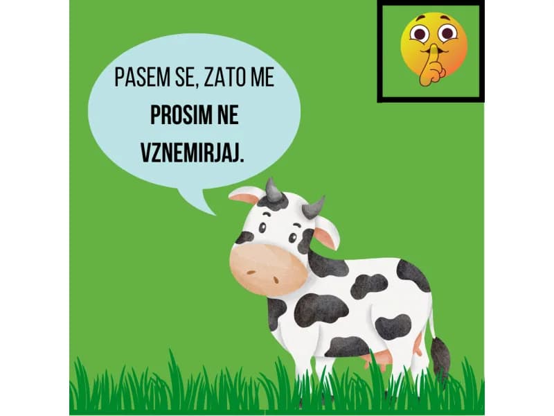 Za dobrobit živali - ne motimo jih