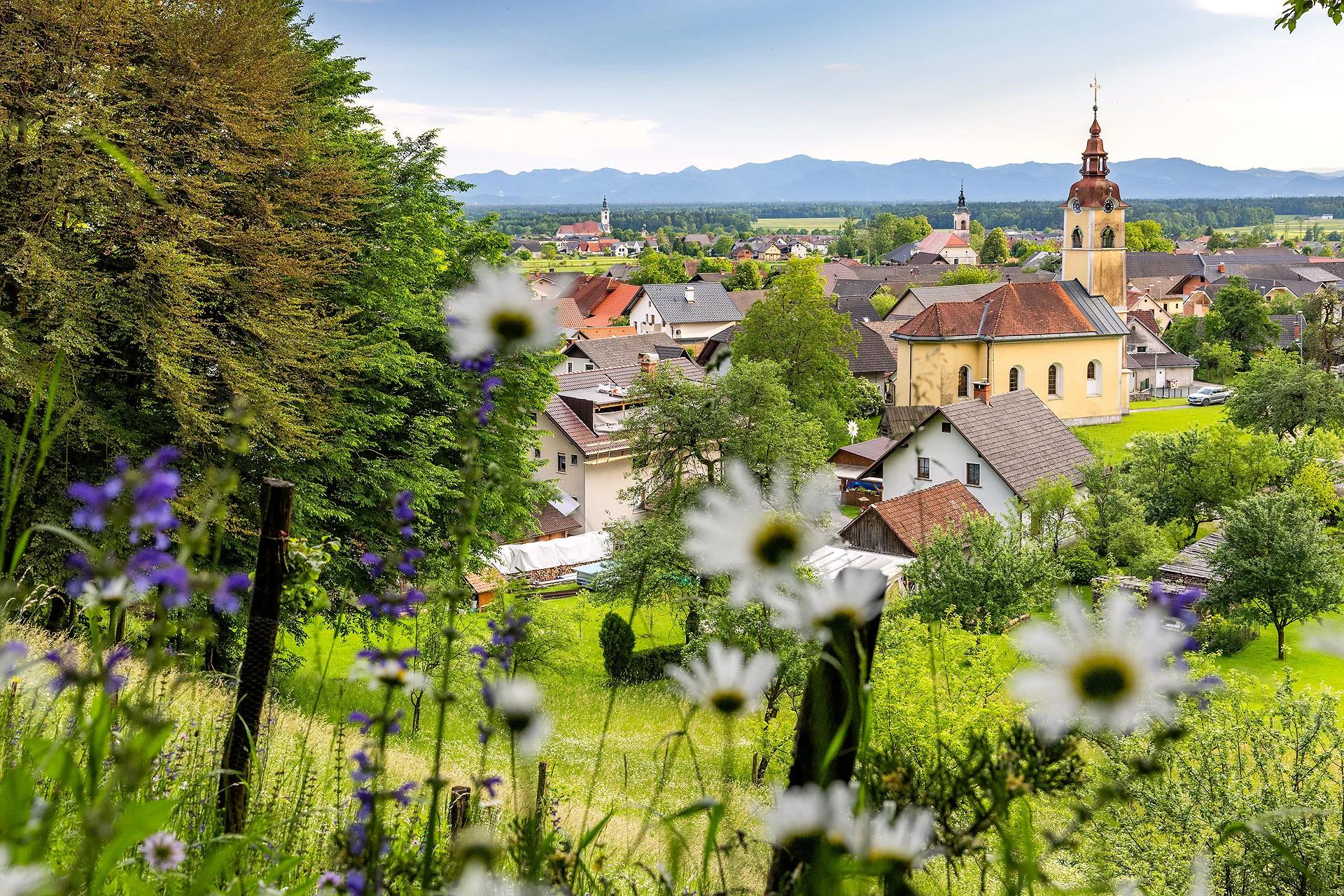 Pogled na vas s cerkvijo čez travnik z marjeticami.