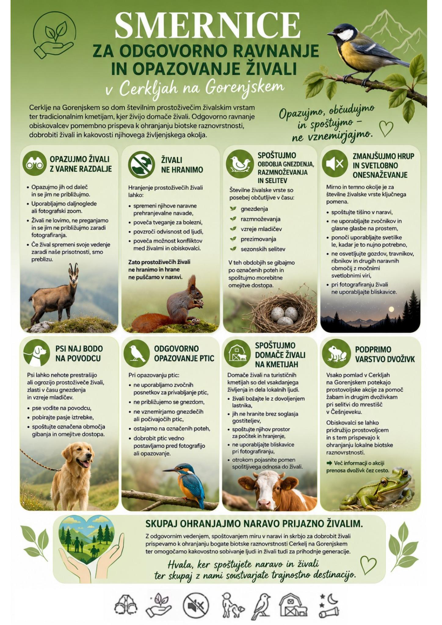 Infografika: Smernice za odgovorno ravnanje in opazovanje živali v Cerkljah na Gorenjskem