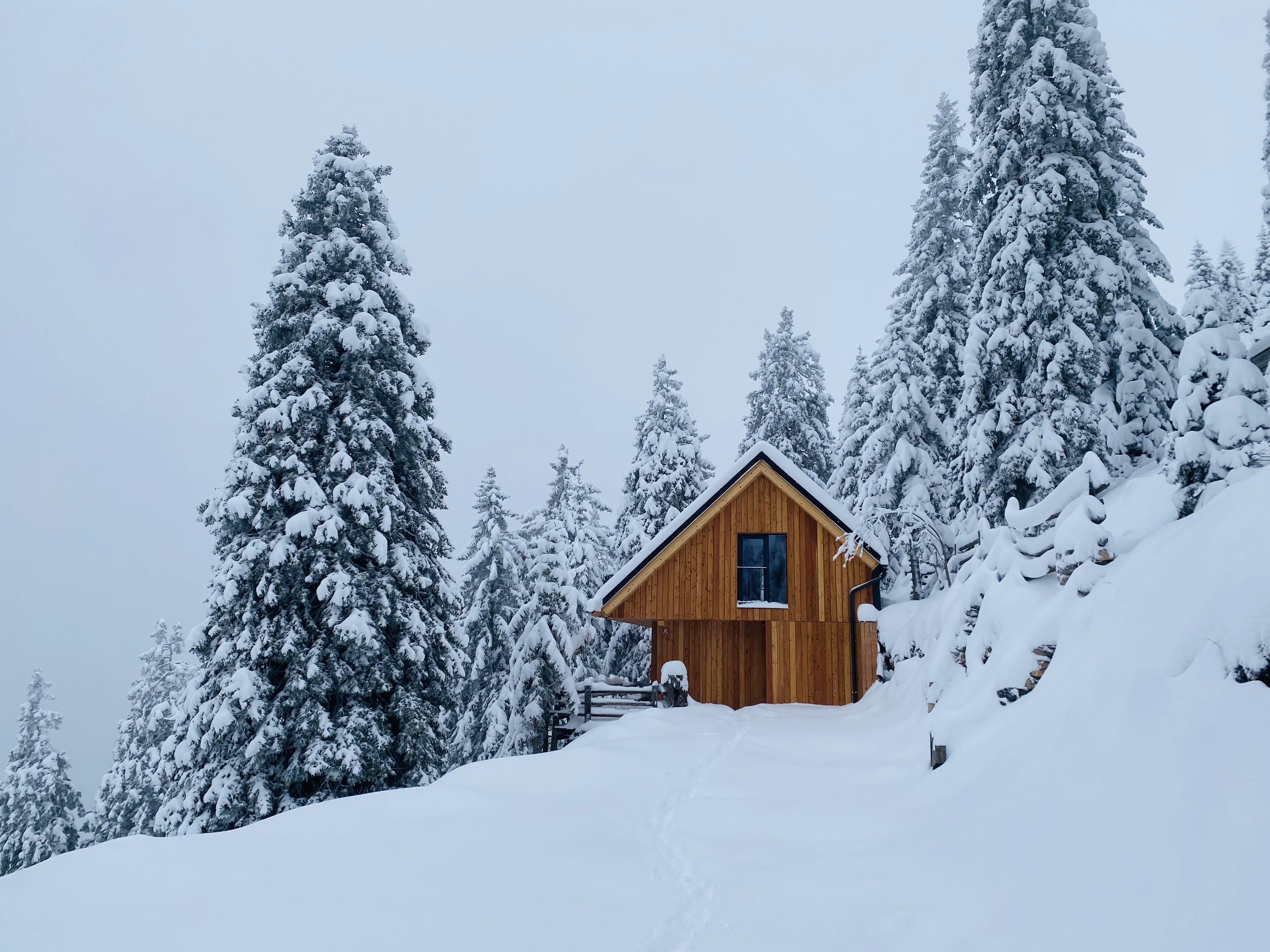 Cabin Gorenka