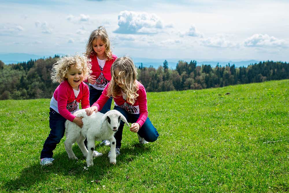 Urlaub am Bergbauernhof